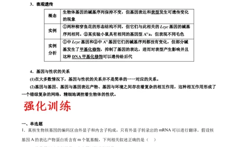 专题22基因的表达、基因与性状的关系（原卷版)_2024年新高考资料_3.2024专项复习_备战2024年高考生物一轮复习重难点专项突破