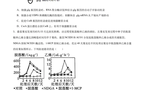 专题22基因的表达、基因与性状的关系（原卷版)_2024年新高考资料_3.2024专项复习_备战2024年高考生物一轮复习重难点专项突破