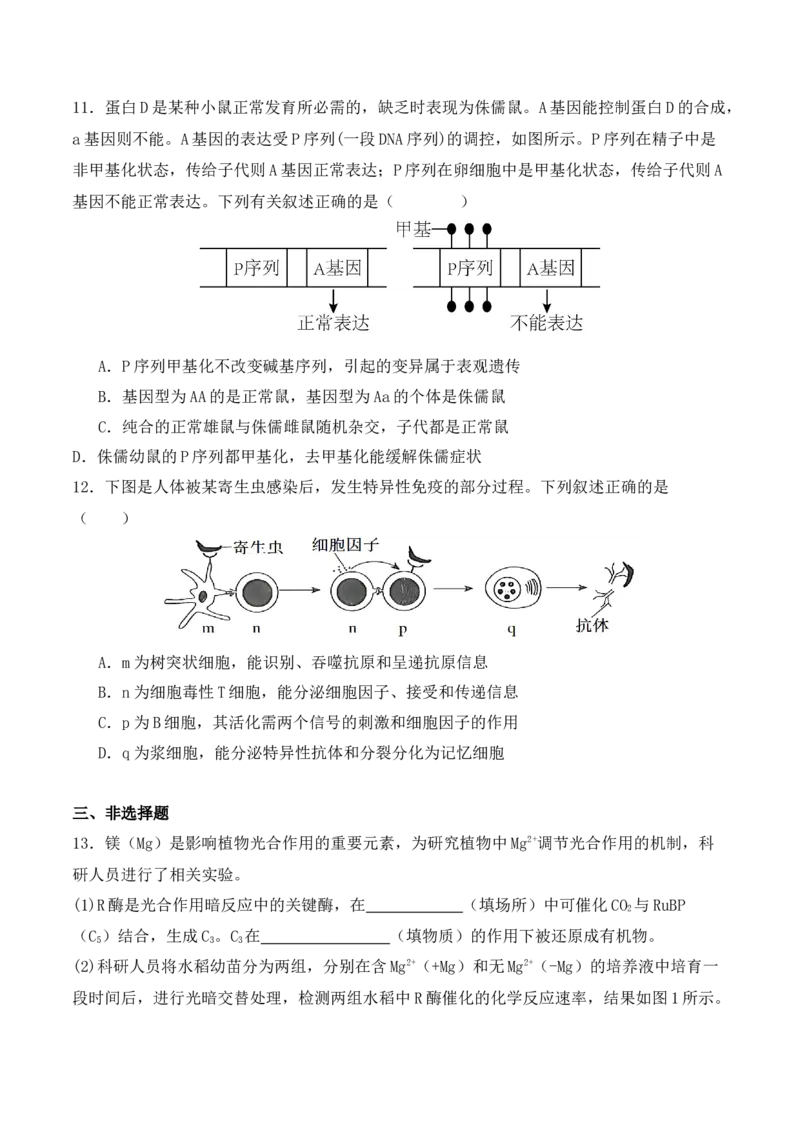 二轮题型突破卷（1）（原卷版）-_2024年新高考资料_2.2024二轮复习_2024年高考生物二轮热点题型归纳与变式演练（新高考通用）