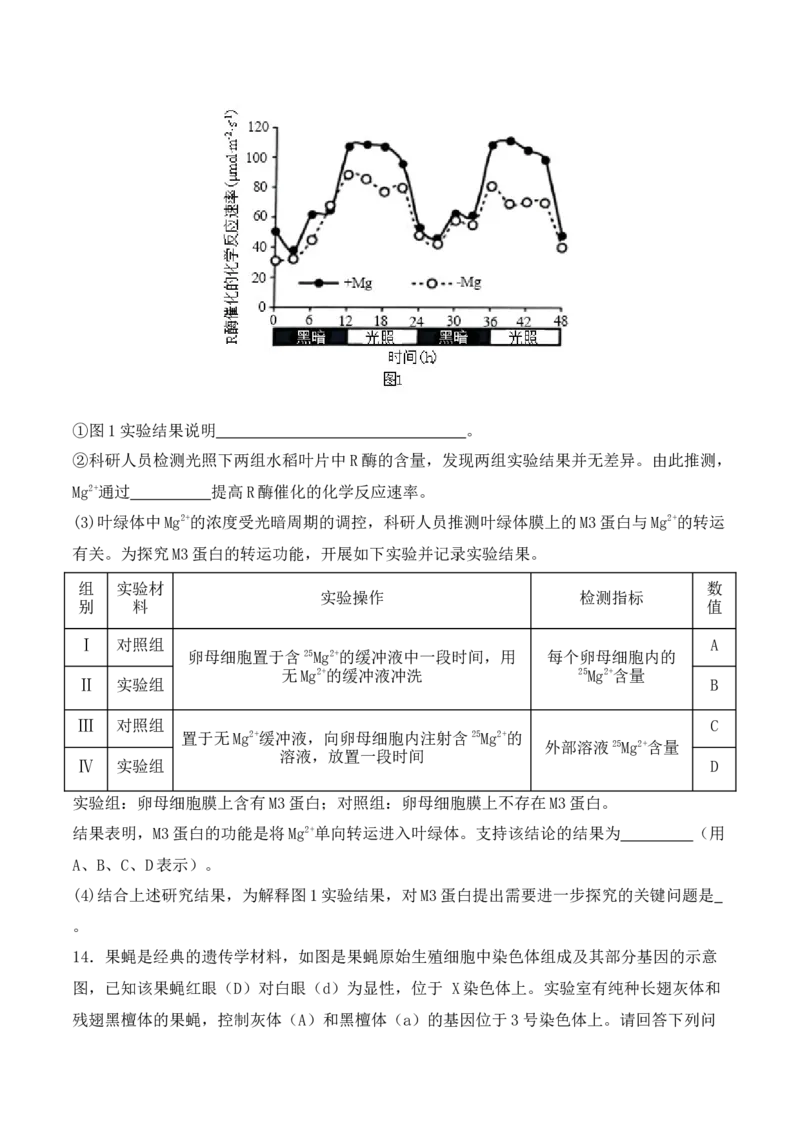 二轮题型突破卷（1）（原卷版）-_2024年新高考资料_2.2024二轮复习_2024年高考生物二轮热点题型归纳与变式演练（新高考通用）