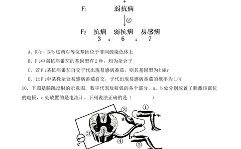 二轮题型突破卷（1）（原卷版）-_2024年新高考资料_2.2024二轮复习_2024年高考生物二轮热点题型归纳与变式演练（新高考通用）