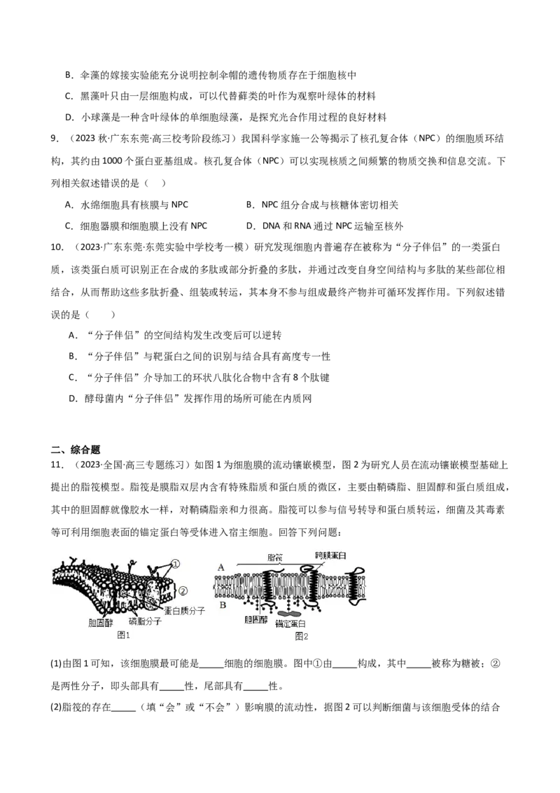 专题02细胞的结构和功能（限时检测卷）_2024年新高考资料_3.2024专项复习_2024年高考生物热点&middot;重点&middot;难点专练（新高考专用）