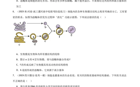 专题02细胞的结构和功能（限时检测卷）_2024年新高考资料_3.2024专项复习_2024年高考生物热点&middot;重点&middot;难点专练（新高考专用）