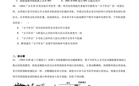 专题02细胞的结构和功能（限时检测卷）_2024年新高考资料_3.2024专项复习_2024年高考生物热点&middot;重点&middot;难点专练（新高考专用）