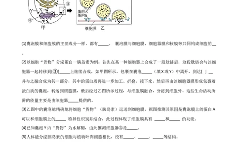 专题02细胞的结构和功能（限时检测卷）_2024年新高考资料_3.2024专项复习_2024年高考生物热点&middot;重点&middot;难点专练（新高考专用）