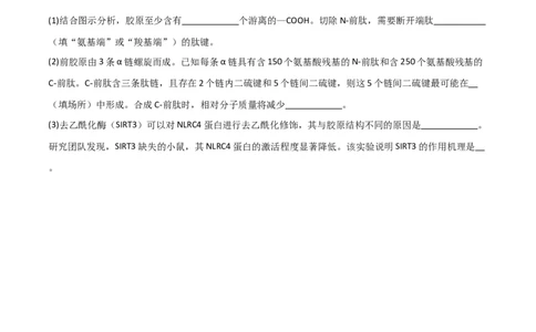 专题01细胞的物质基础（限时检测卷）_2024年新高考资料_3.2024专项复习_2024年高考生物热点&middot;重点&middot;难点专练（新高考专用）