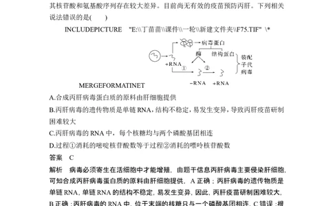 微专题13病毒全盘点_2024年新高考资料_1.2024一轮复习_2024年高考生物一轮复习讲义（新人教版）_另附1套Word版题库_选择性必修1_第八单元稳态与调节