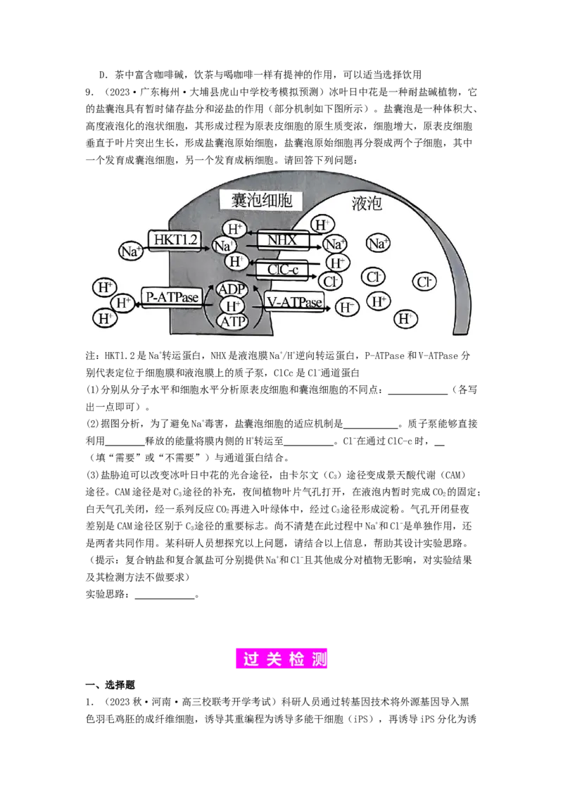 专题11细胞的分化、衰老与死亡（原卷版）_2024年新高考资料_1.2024一轮复习_备战2024年高考生物一轮复习抢分特训（全国通用）