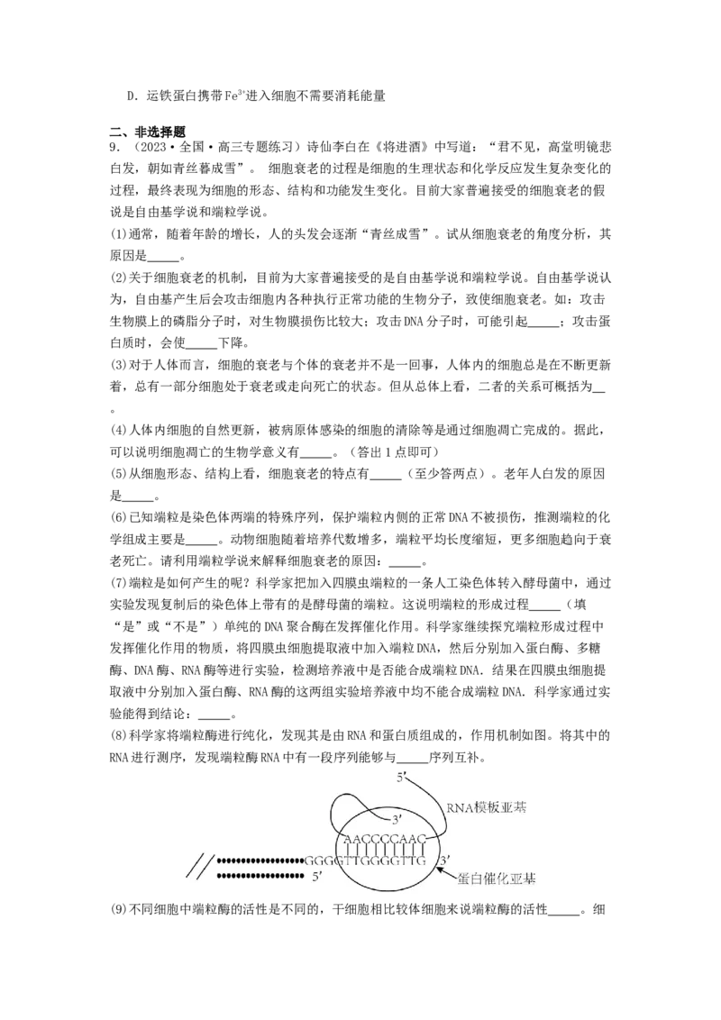 专题11细胞的分化、衰老与死亡（原卷版）_2024年新高考资料_1.2024一轮复习_备战2024年高考生物一轮复习抢分特训（全国通用）