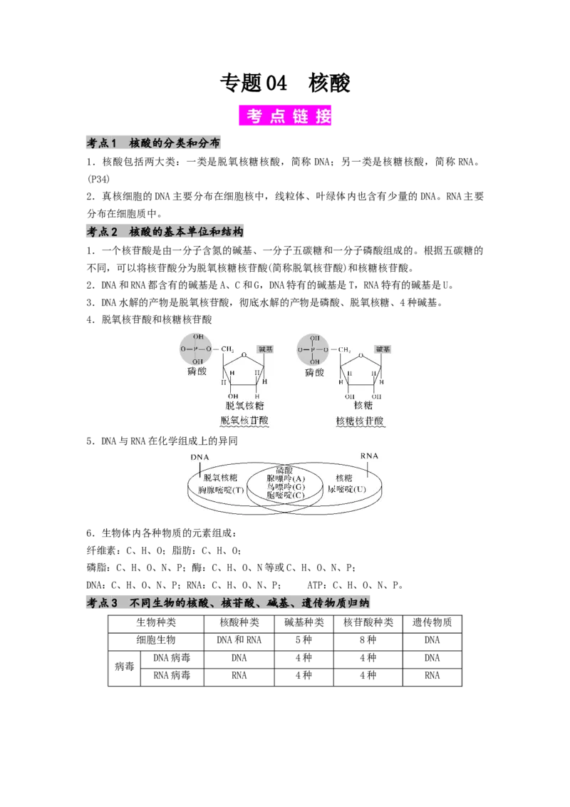 专题04核酸（原卷版）_2024年新高考资料_1.2024一轮复习_备战2024年高考生物一轮复习抢分特训（全国通用）_专题04核酸-备战2024年高考生物一轮复习抢分特训（全国通用）
