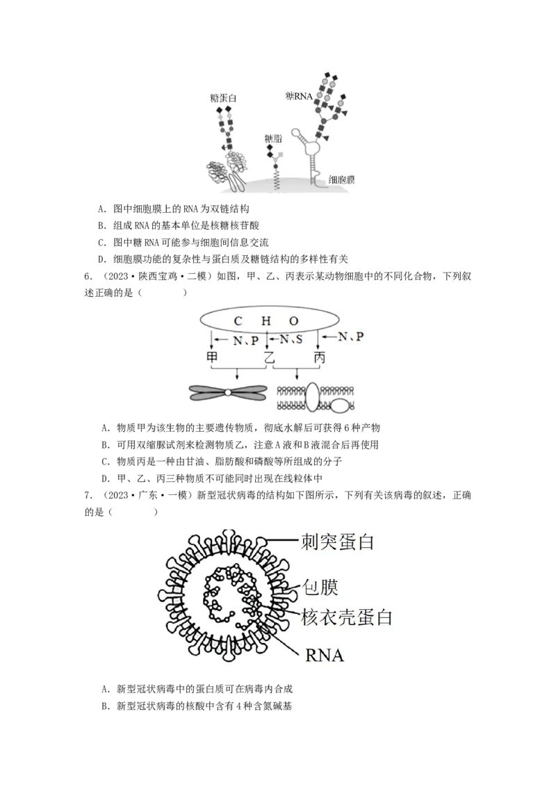 专题04核酸（原卷版）_2024年新高考资料_1.2024一轮复习_备战2024年高考生物一轮复习抢分特训（全国通用）_专题04核酸-备战2024年高考生物一轮复习抢分特训（全国通用）