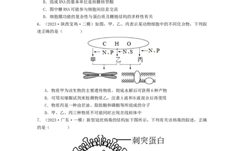 专题04核酸（原卷版）_2024年新高考资料_1.2024一轮复习_备战2024年高考生物一轮复习抢分特训（全国通用）_专题04核酸-备战2024年高考生物一轮复习抢分特训（全国通用）