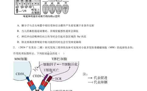 押广东卷选择题第15题稳态与调节模块（原卷版）_2024年新高考资料_5.2024三轮冲刺_备战2024年高考生物临考题号押题（广东专用）323137816