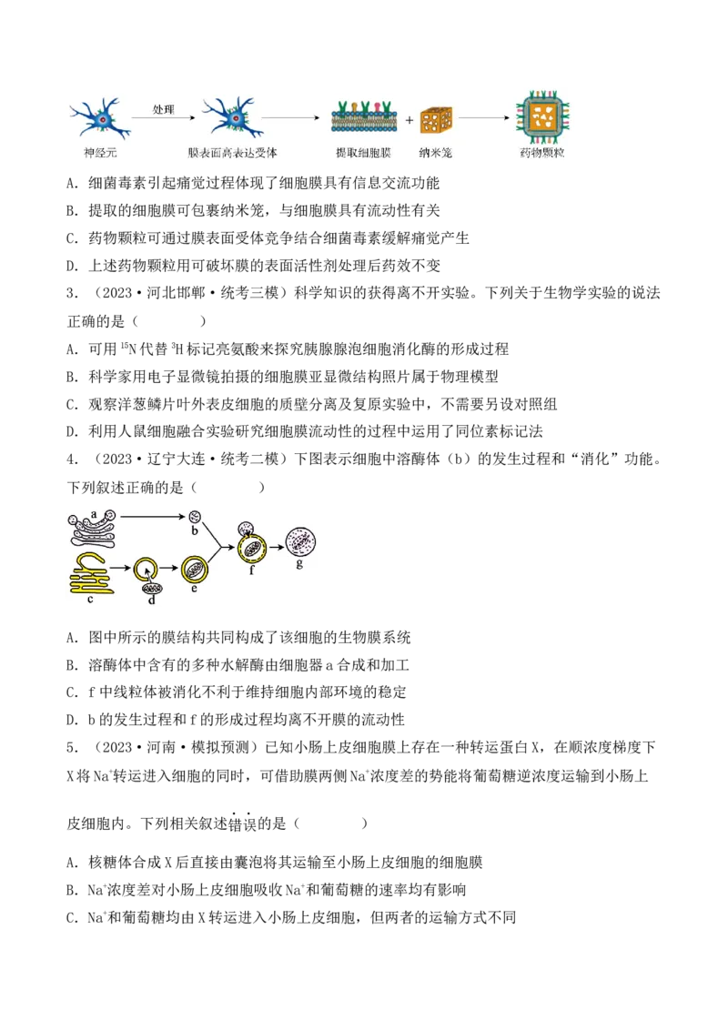 专题02细胞的基本结构和物质运输（原卷版）_2024年新高考资料_3.2024专项复习_备战2024年高考生物一轮复习重难点突破讲解与训练（新教材）
