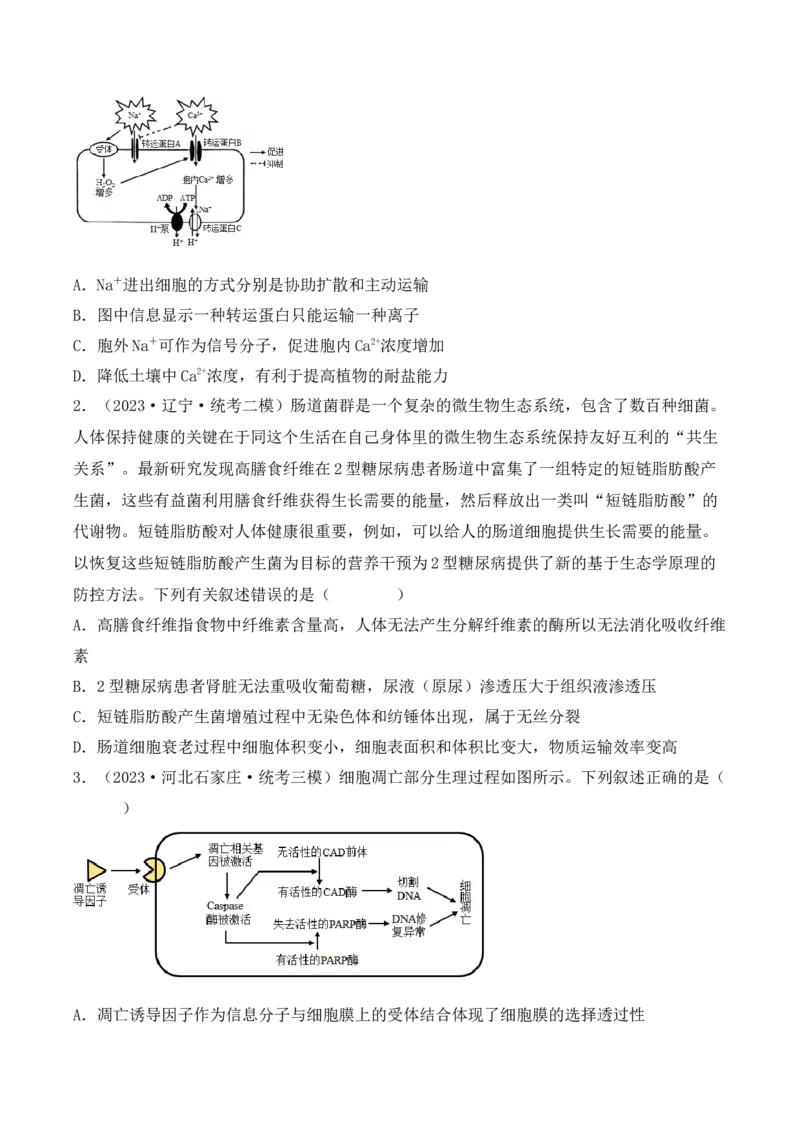 专题02细胞的基本结构和物质运输（原卷版）_2024年新高考资料_3.2024专项复习_备战2024年高考生物一轮复习重难点突破讲解与训练（新教材）