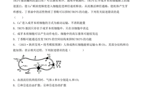 专题02细胞的基本结构和物质运输（原卷版）_2024年新高考资料_3.2024专项复习_备战2024年高考生物一轮复习重难点突破讲解与训练（新教材）