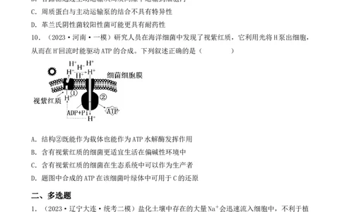 专题02细胞的基本结构和物质运输（原卷版）_2024年新高考资料_3.2024专项复习_备战2024年高考生物一轮复习重难点突破讲解与训练（新教材）