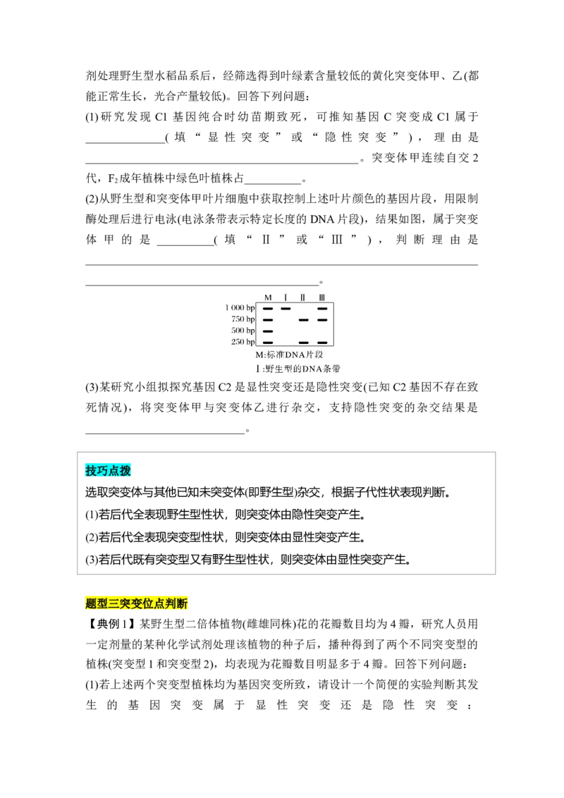 专题六变异重难集训（原卷版）_2024年新高考资料_5.2024三轮冲刺_2024年高考生物考前最后冲刺
