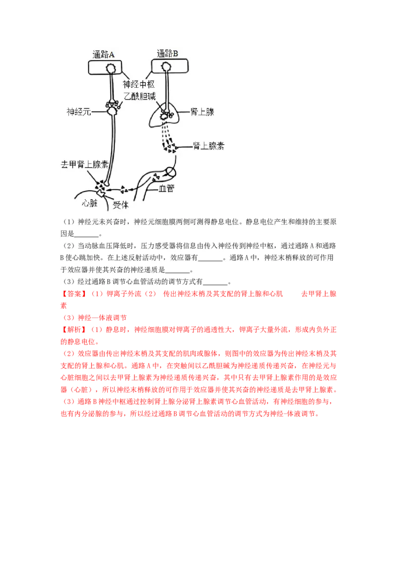 专题25体液调节（串讲）（解析版）_2024年新高考资料_1.2024一轮复习_备战2024年高考生物一轮复习串讲精练（新高考专用）