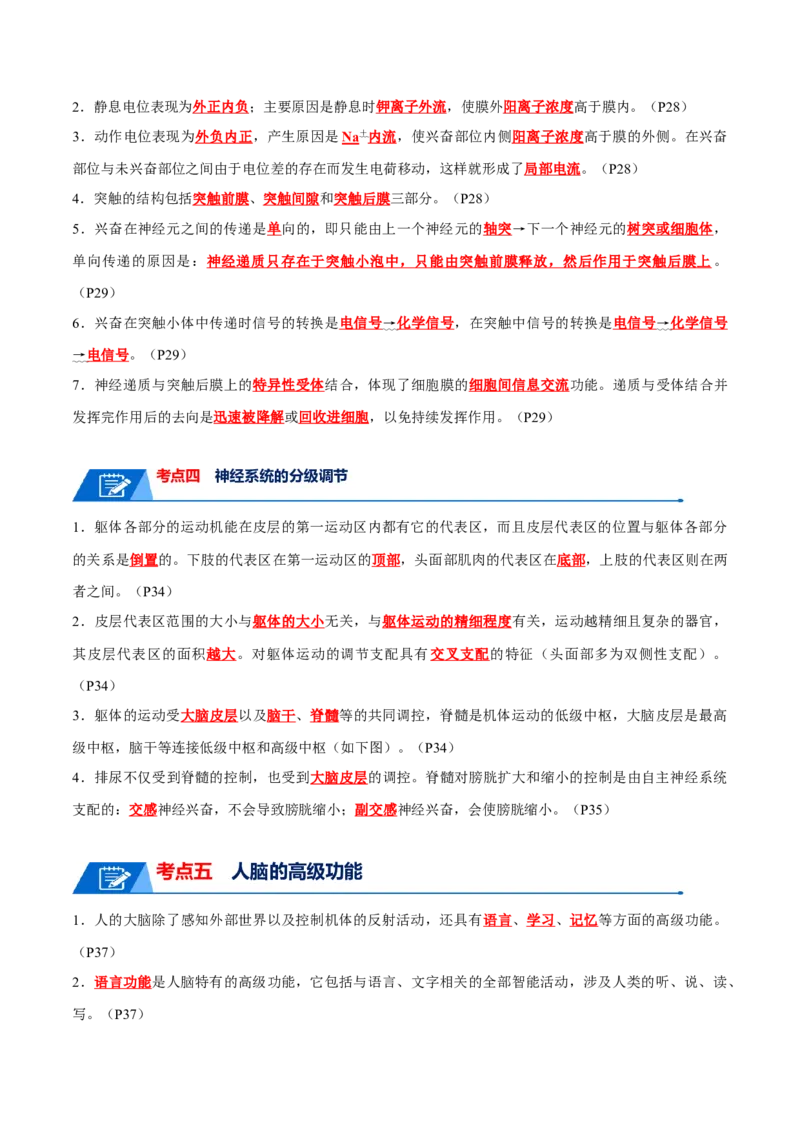 宝典14神经调节（解析版）_2024年新高考资料_1.2024一轮复习_2024年高考生物一轮复习知识清单