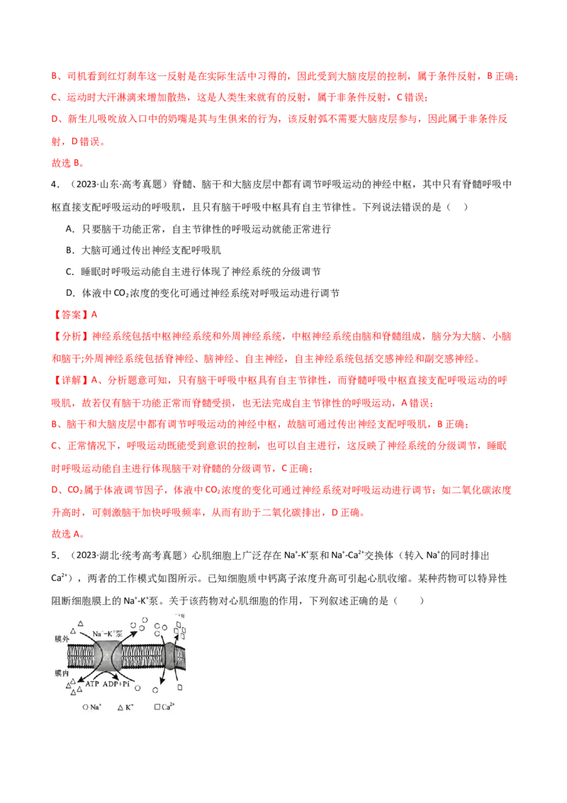 宝典14神经调节（解析版）_2024年新高考资料_1.2024一轮复习_2024年高考生物一轮复习知识清单