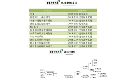 宝典14神经调节（解析版）_2024年新高考资料_1.2024一轮复习_2024年高考生物一轮复习知识清单
