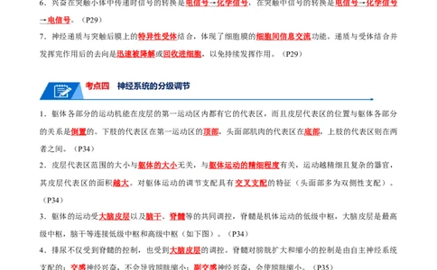 宝典14神经调节（解析版）_2024年新高考资料_1.2024一轮复习_2024年高考生物一轮复习知识清单