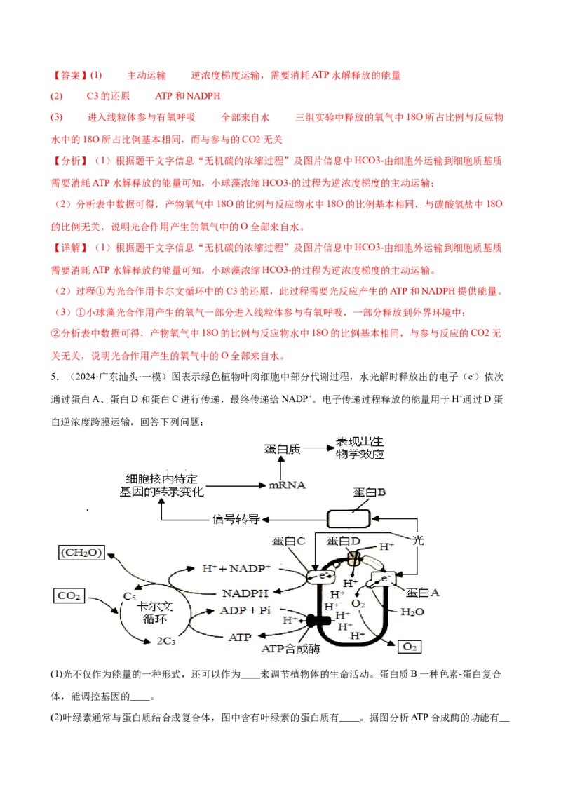 押广东卷第17题光合作用的应用（解析版）_2024年新高考资料_5.2024三轮冲刺_备战2024年高考生物临考题号押题（广东专用）323137816