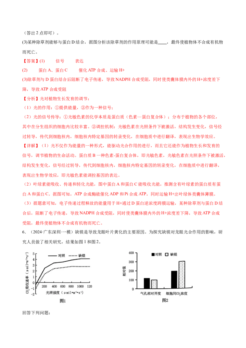 押广东卷第17题光合作用的应用（解析版）_2024年新高考资料_5.2024三轮冲刺_备战2024年高考生物临考题号押题（广东专用）323137816