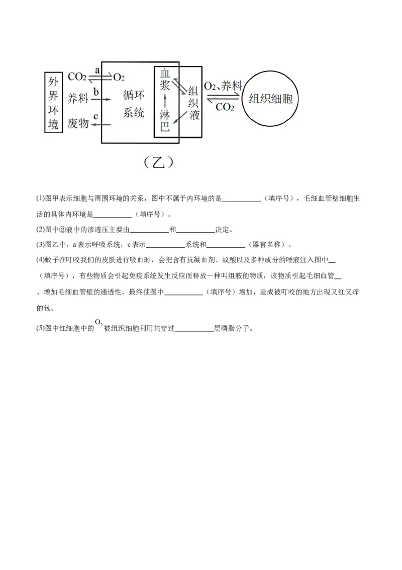 专题25内环境与稳态（原卷版)_2024年新高考资料_3.2024专项复习_备战2024年高考生物一轮复习重难点专项突破_专题25内环境与稳态-备战2024年高考生物一轮复习重难点专项突破