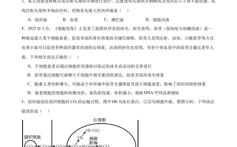 专题25内环境与稳态（原卷版)_2024年新高考资料_3.2024专项复习_备战2024年高考生物一轮复习重难点专项突破_专题25内环境与稳态-备战2024年高考生物一轮复习重难点专项突破
