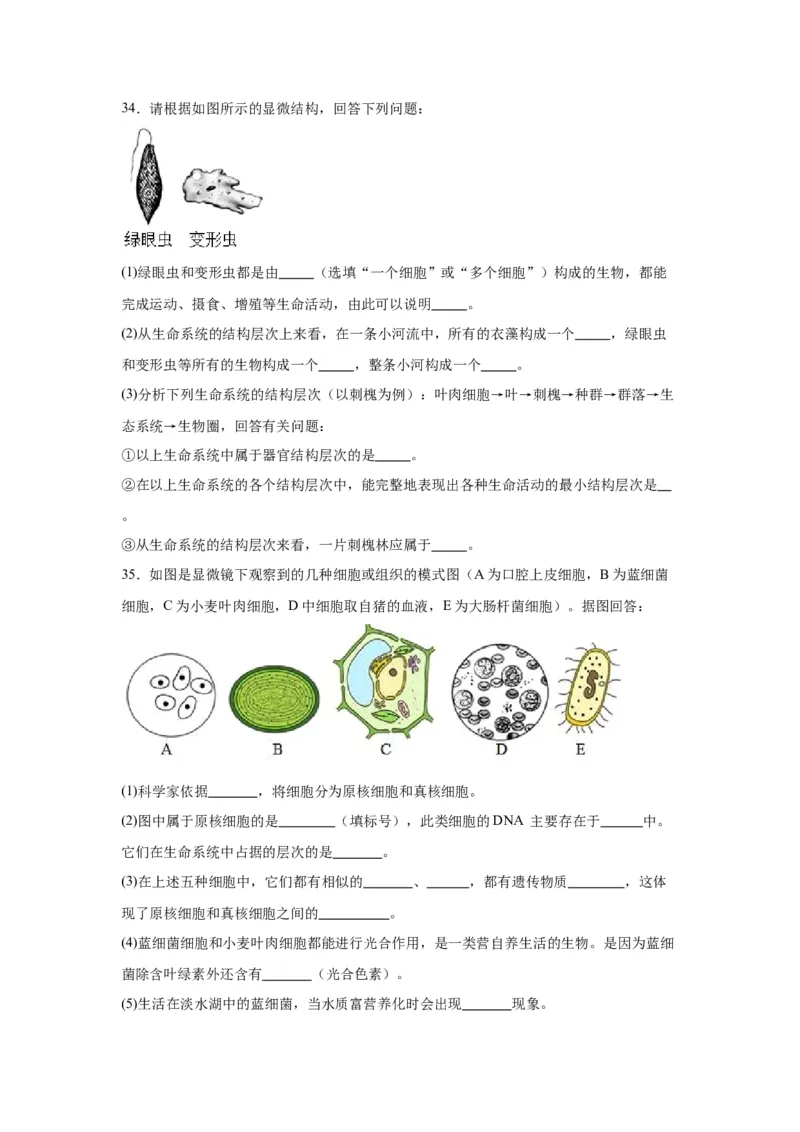 专题1走近细胞（原卷版)_2024年新高考资料_3.2024专项复习_备战2024年高考生物一轮复习重难点专项突破_专题01走近细胞-备战2024年高考生物一轮复习重难点专项突破