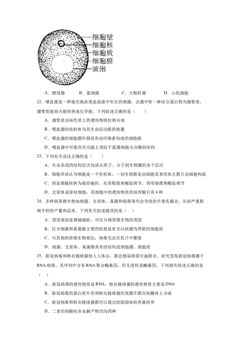 专题1走近细胞（原卷版)_2024年新高考资料_3.2024专项复习_备战2024年高考生物一轮复习重难点专项突破_专题01走近细胞-备战2024年高考生物一轮复习重难点专项突破