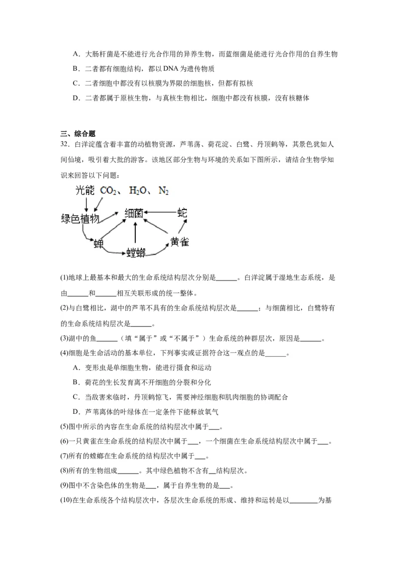 专题1走近细胞（原卷版)_2024年新高考资料_3.2024专项复习_备战2024年高考生物一轮复习重难点专项突破_专题01走近细胞-备战2024年高考生物一轮复习重难点专项突破