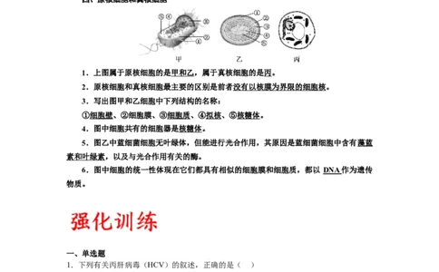 专题1走近细胞（原卷版)_2024年新高考资料_3.2024专项复习_备战2024年高考生物一轮复习重难点专项突破_专题01走近细胞-备战2024年高考生物一轮复习重难点专项突破