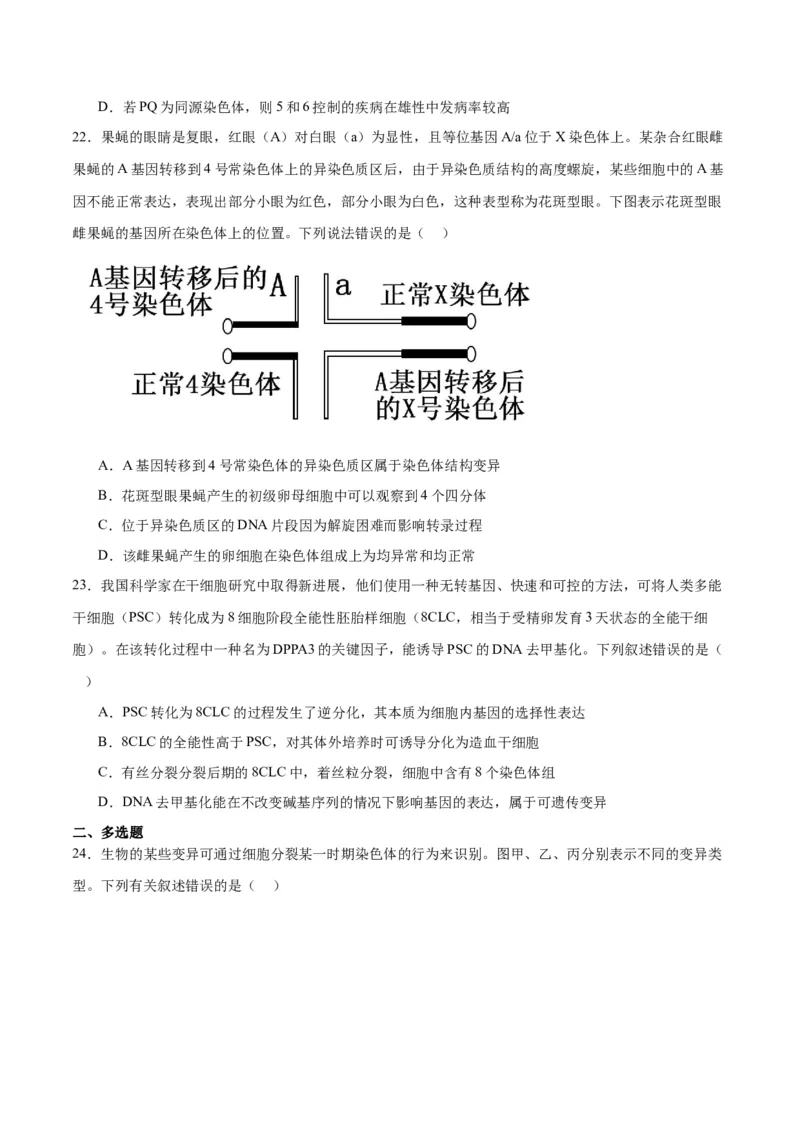 专题23生物的变异（原卷版)_2024年新高考资料_3.2024专项复习_备战2024年高考生物一轮复习重难点专项突破_专题23生物的变异-备战2024年高考生物一轮复习重难点专项突破