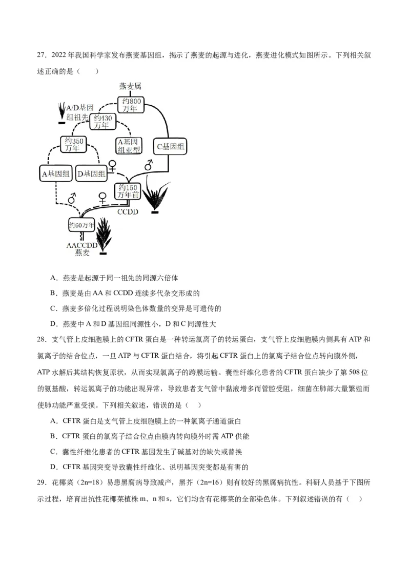 专题23生物的变异（原卷版)_2024年新高考资料_3.2024专项复习_备战2024年高考生物一轮复习重难点专项突破_专题23生物的变异-备战2024年高考生物一轮复习重难点专项突破