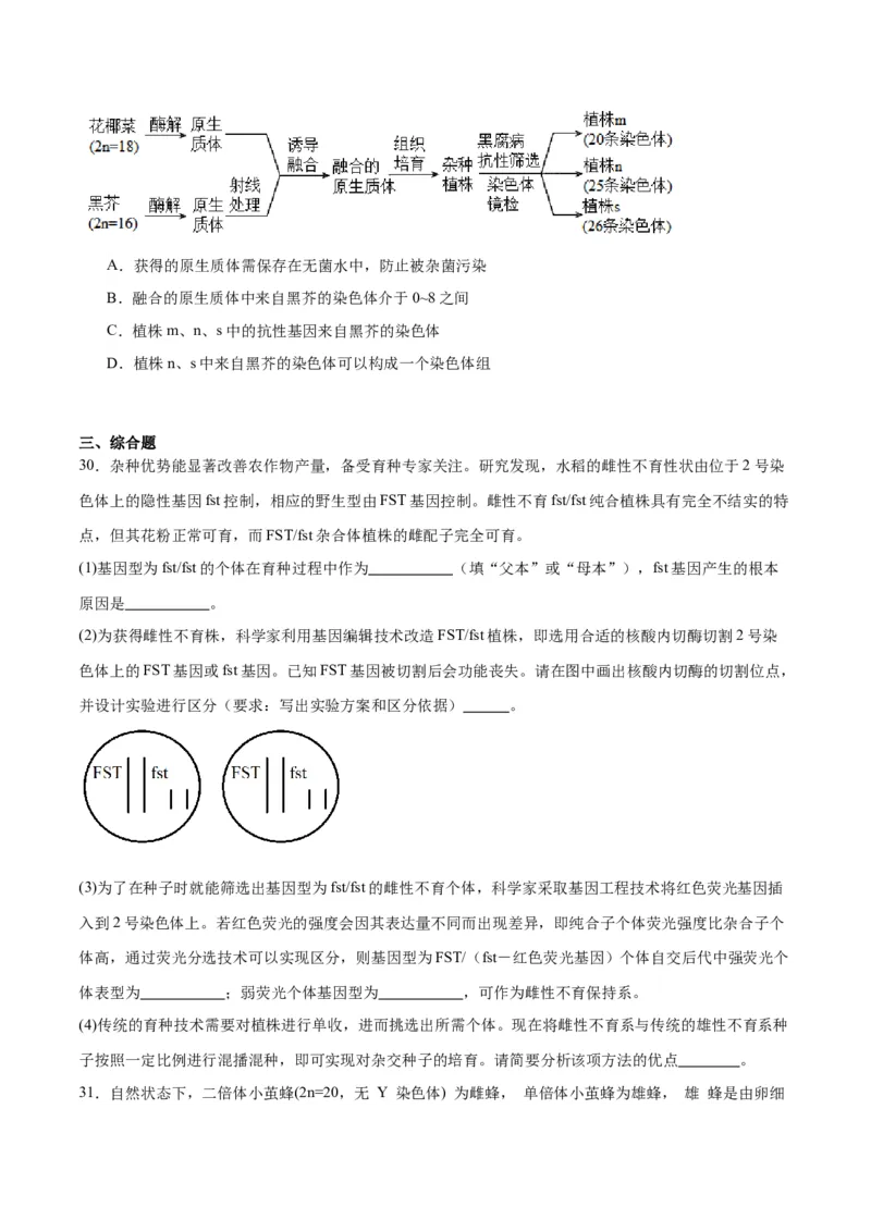专题23生物的变异（原卷版)_2024年新高考资料_3.2024专项复习_备战2024年高考生物一轮复习重难点专项突破_专题23生物的变异-备战2024年高考生物一轮复习重难点专项突破