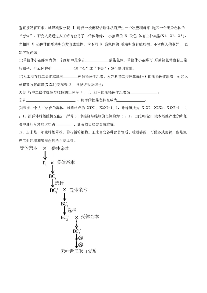 专题23生物的变异（原卷版)_2024年新高考资料_3.2024专项复习_备战2024年高考生物一轮复习重难点专项突破_专题23生物的变异-备战2024年高考生物一轮复习重难点专项突破