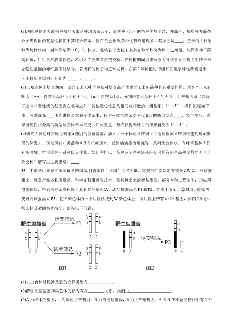 专题23生物的变异（原卷版)_2024年新高考资料_3.2024专项复习_备战2024年高考生物一轮复习重难点专项突破_专题23生物的变异-备战2024年高考生物一轮复习重难点专项突破