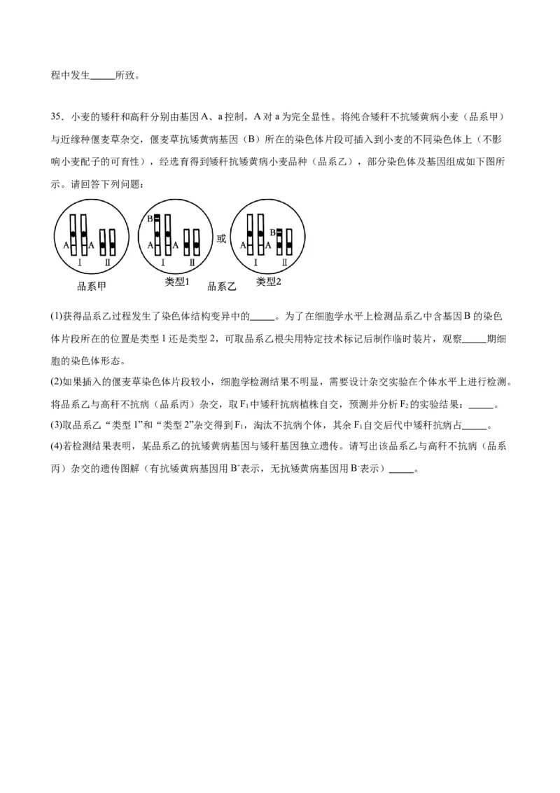 专题23生物的变异（原卷版)_2024年新高考资料_3.2024专项复习_备战2024年高考生物一轮复习重难点专项突破_专题23生物的变异-备战2024年高考生物一轮复习重难点专项突破