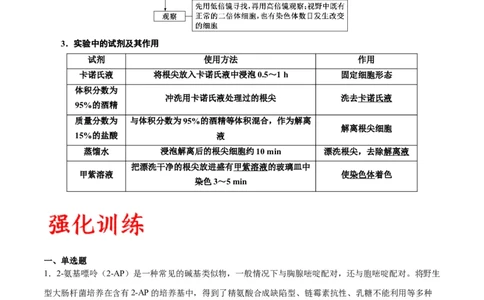 专题23生物的变异（原卷版)_2024年新高考资料_3.2024专项复习_备战2024年高考生物一轮复习重难点专项突破_专题23生物的变异-备战2024年高考生物一轮复习重难点专项突破