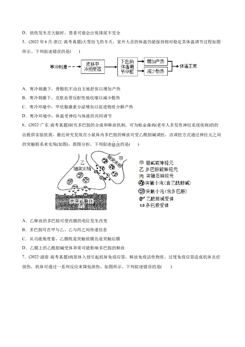 专题09动物生命活动的调节-2022年高考真题和模拟题生物分专题训练（学生版）_2024年新高考资料_1.2024一轮复习_赠2022年高考生物真题与模拟题分类