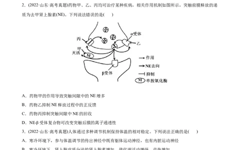 专题09动物生命活动的调节-2022年高考真题和模拟题生物分专题训练（学生版）_2024年新高考资料_1.2024一轮复习_赠2022年高考生物真题与模拟题分类