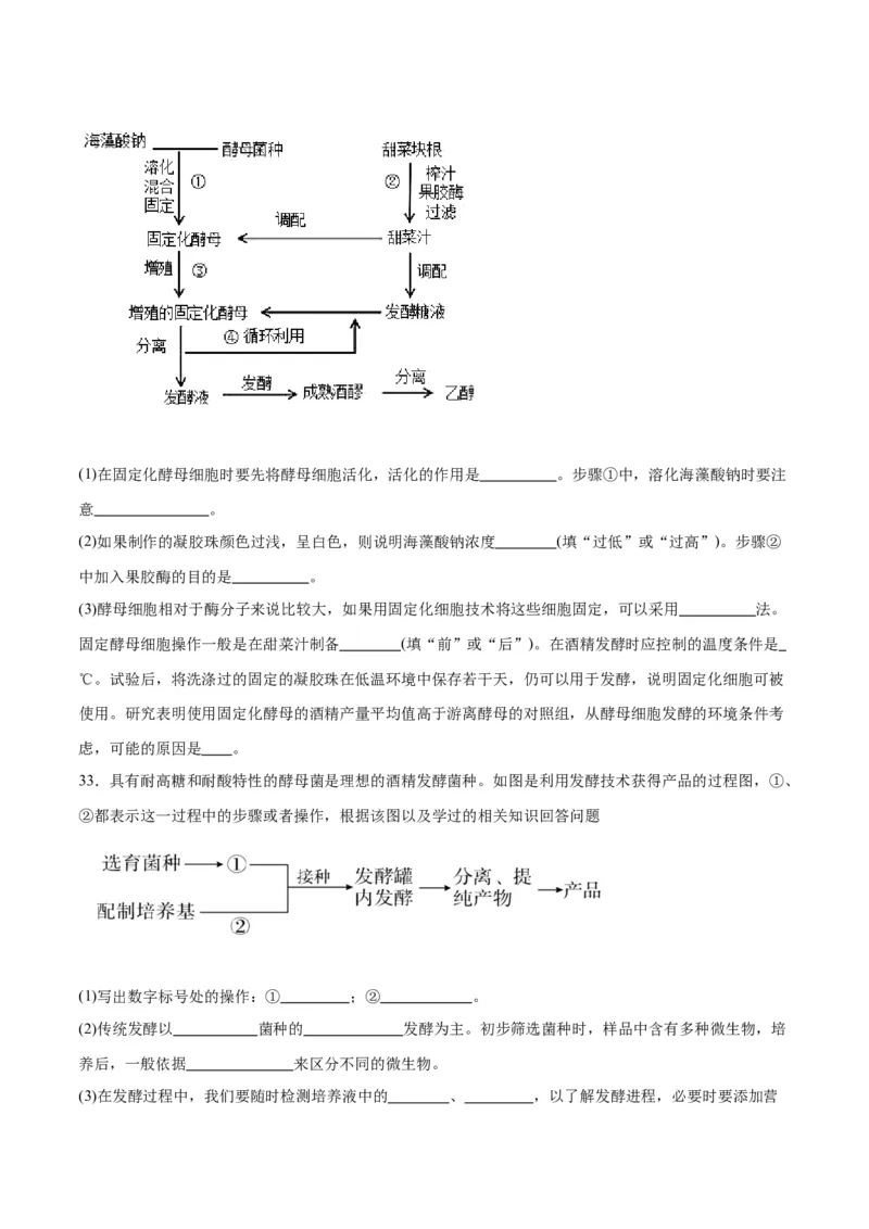 专题38传统发酵技术和发酵工程的应用（原卷版）_2024年新高考资料_3.2024专项复习_备战2024年高考生物一轮复习重难点专项突破