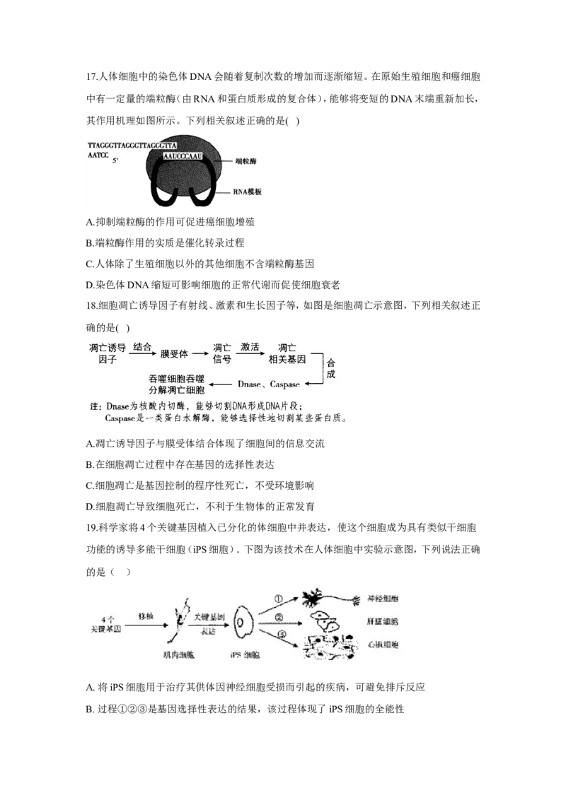 2022届高考生物二轮复习专题综合练（三）：细胞的生命历程（有解析）_新高考复习资料_2022年新高考复习资料_2022届高考生物二轮复习专题综合练（含解析）