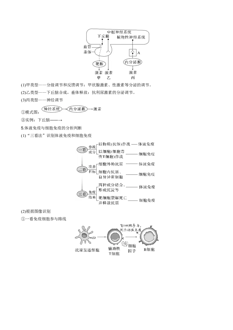 专题07动物生命活动调节（解析版）_2024年新高考资料_3.2024专项复习_2024年高考生物热点&middot;重点&middot;难点专练（新高考专用）