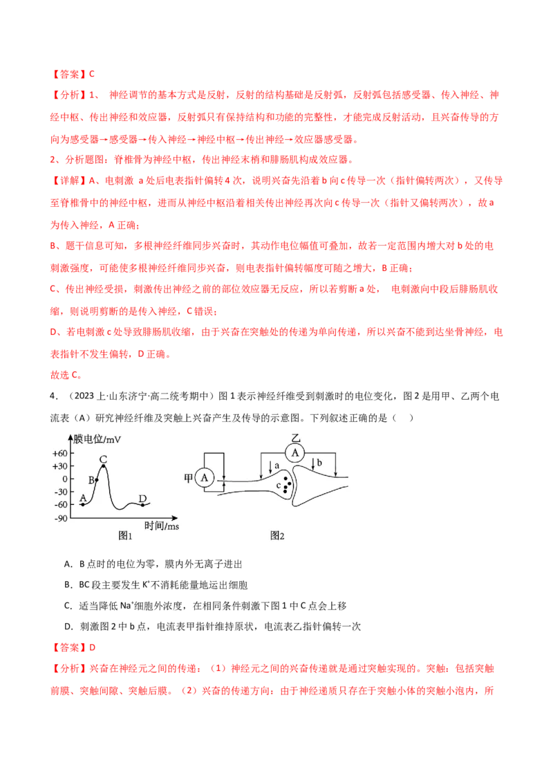 专题07动物生命活动调节（解析版）_2024年新高考资料_3.2024专项复习_2024年高考生物热点&middot;重点&middot;难点专练（新高考专用）
