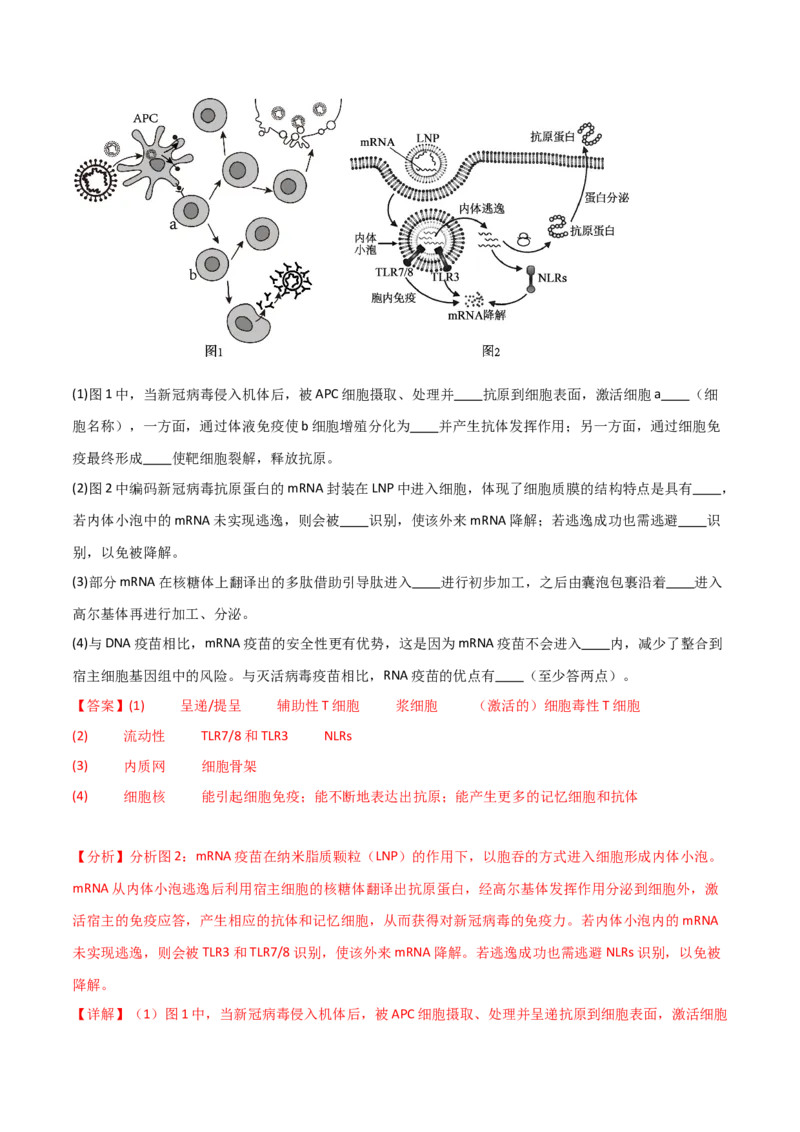 专题07动物生命活动调节（解析版）_2024年新高考资料_3.2024专项复习_2024年高考生物热点&middot;重点&middot;难点专练（新高考专用）