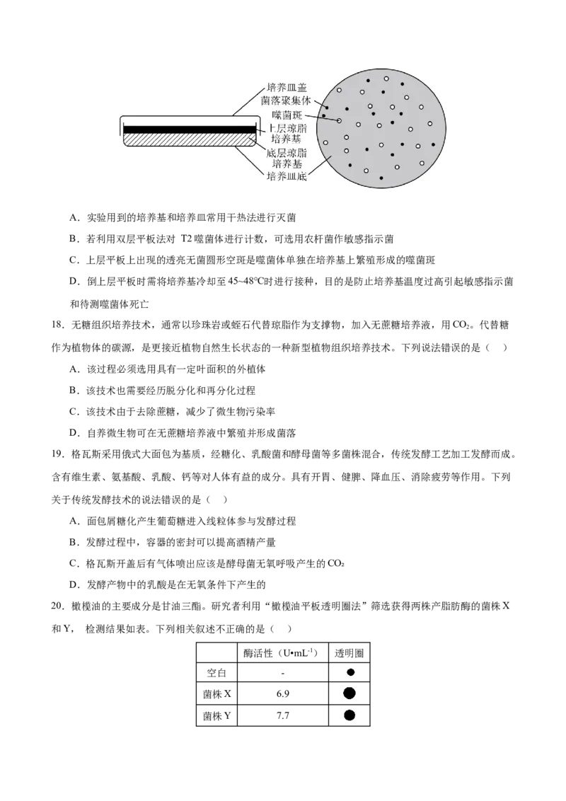 押新高考卷发酵工程（原卷版）-备战2024年高考生物临考题号押题（新高考通用）(1)_2024年新高考资料_5.2024三轮冲刺_备战2024年高考生物临考题号押题（新高考通用）322745222